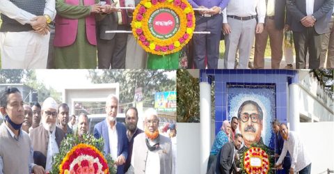 পীরগঞ্জ হানাদার মুক্ত দিবস পালিত