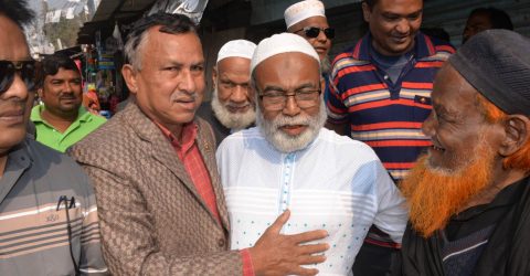 লাঙ্গলের জনপ্রিয়তা আকাশচুম্বী