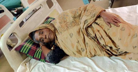 মেয়েদের পক্ষ নেয়ায় ছেলেদের মারপিটের শিকার গর্ভধারিনি মা