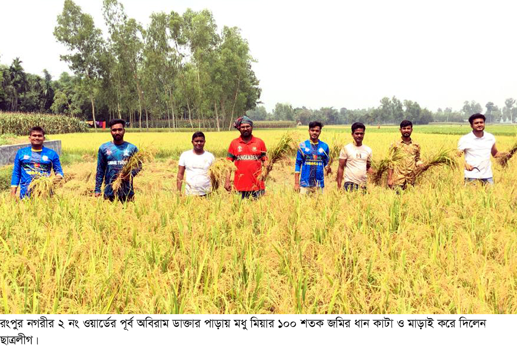 রংপুরে ১০০ শতক জমির ধান কাটা ও মাড়াই করে দিলেন ছাত্রলীগ
