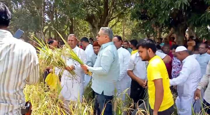 মিঠাপুকুর উপজেলা ছাত্রলীগের উদ্যোগে ধানকাটা কর্মসূচি পালিত