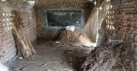 মিঠাপুকুরে দাখিল মাদ্রাসা যেনো এক গৃহস্থালি কাজে ব্যবহৃত কৃষকের ঘর