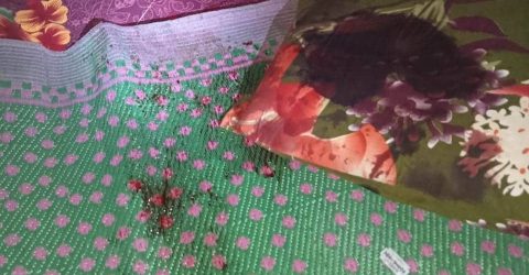 মিঠাপুকুরে স্বামীর গোপনাঙ্গ কর্তন করলেন স্ত্রী 