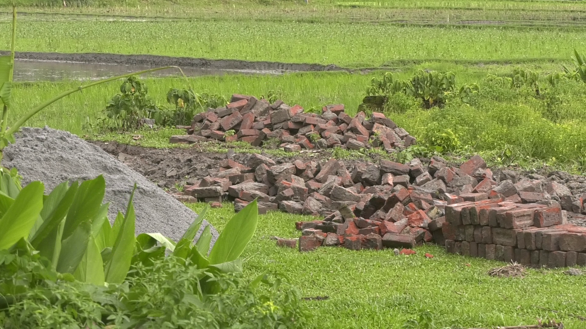 রংপুরে বাউন্ডারি ভেঙে জমি দখলের চেষ্টার অভিযোগ