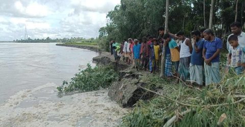 কাউনিয়ায় তীব্র তিস্তা নদী ভাঙ্গন শুরু হয়েছে , গ্রামটা এবার টিকবার নয়