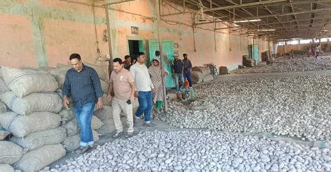 কাউনিয়ায় আলুর দাম নিয়ন্ত্রণে হিমাগারের সরকারি কর্মকর্তা