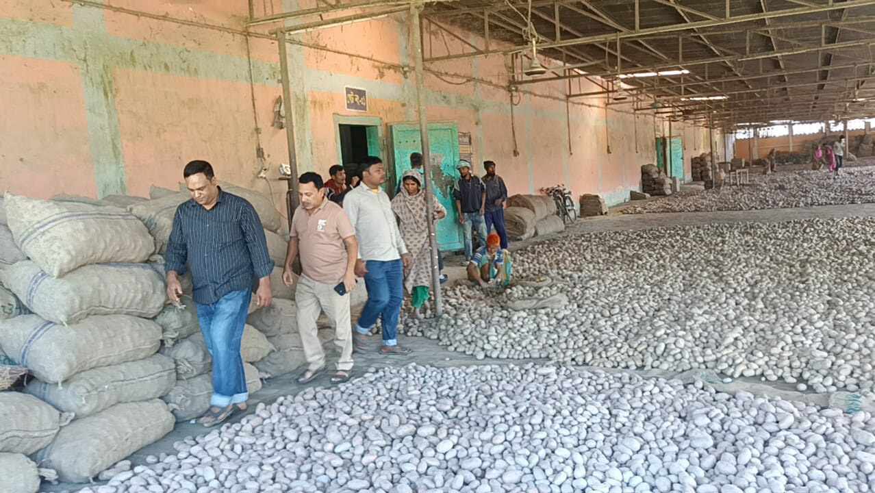কাউনিয়ায় আলুর দাম নিয়ন্ত্রণে হিমাগারের সরকারি কর্মকর্তা